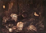 SCHRIECK, Otto Marseus van Still-Life with Insects and Amphibians ar Germany oil painting artist